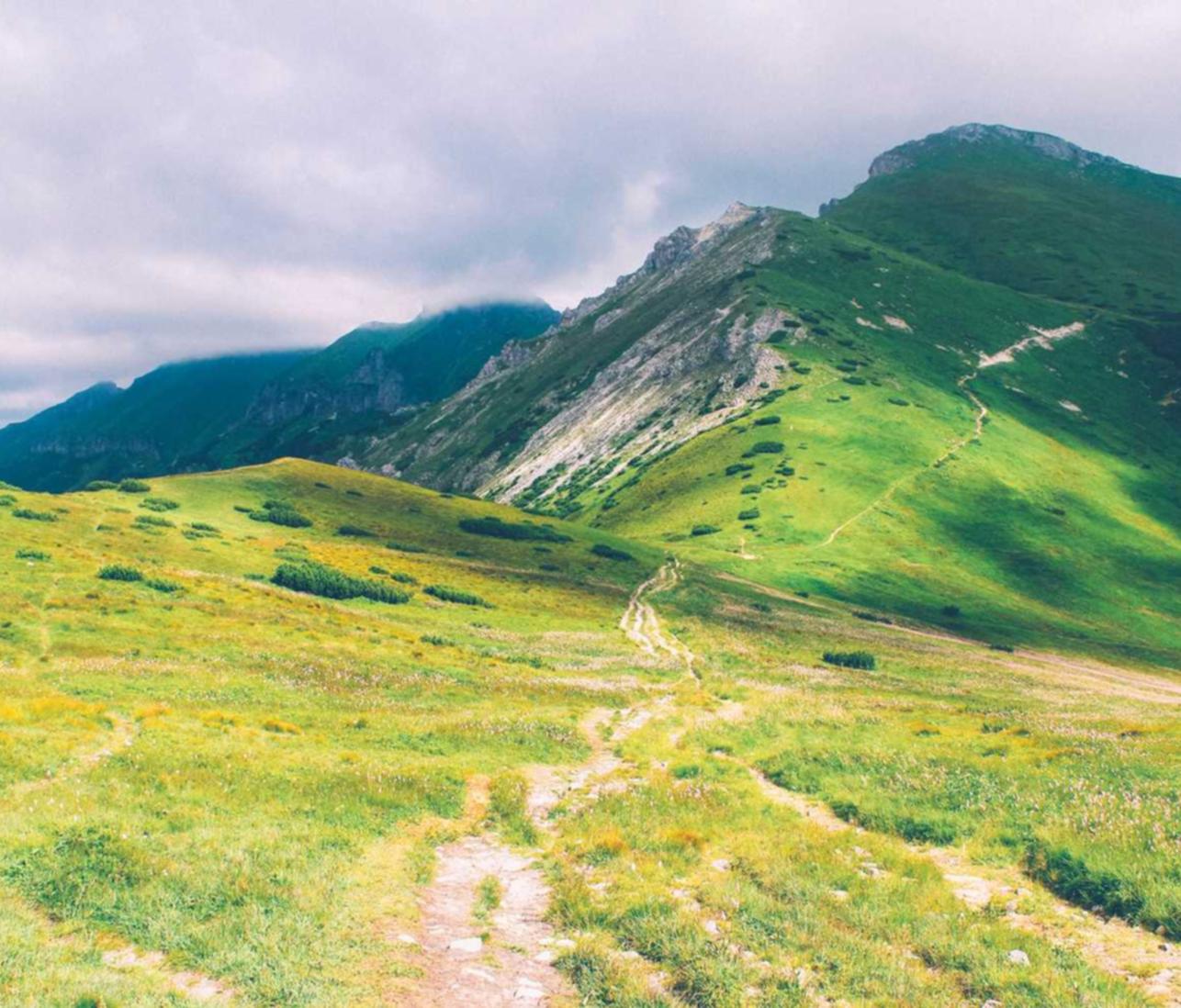 中国移动实名账号：详情下载教程阿app